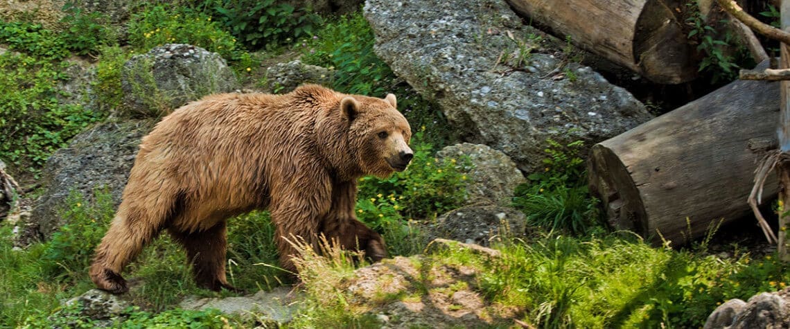 Zoo Salzburg - Ausflugsziele Salzburger Land & Stadt Salzburg