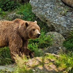 Zoo Salzburg – Ausflugsziele Salzburger Land & Stadt Salzburg