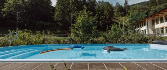 Außenpool - Hotel in Dienten am Hochkönig - Salzburger Hof