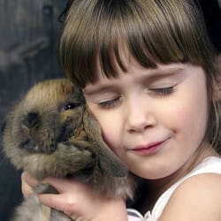 Mini-Streichelzoo im Familienhotel Salzburger Hof , Dienten am Hochkönig
