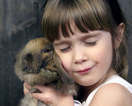 Mini-Streichelzoo im Familienhotel Salzburger Hof , Dienten am Hochkönig