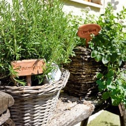 Hotel – Salzburger Hof – Dienten – Bilder – Hotel – Detailfoto