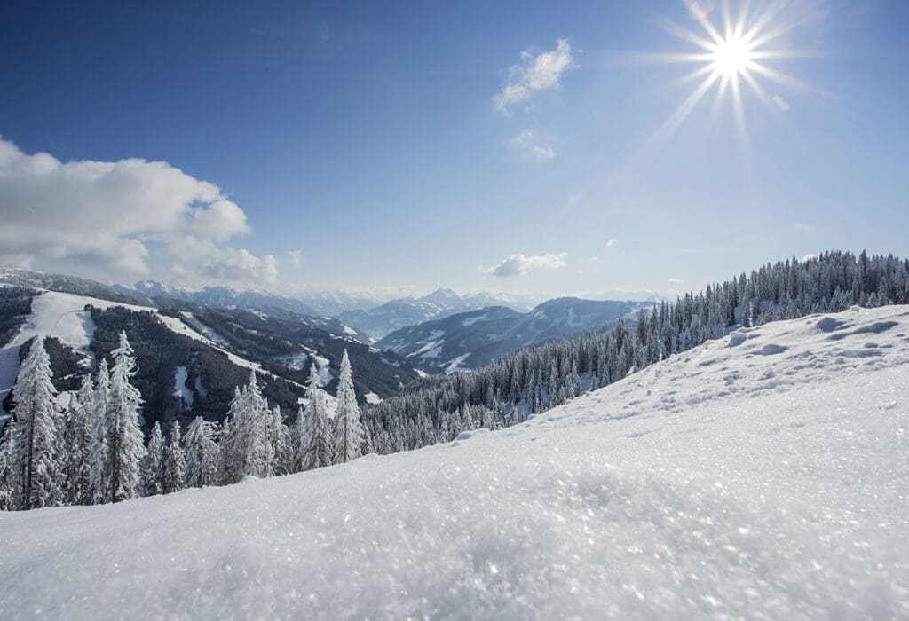 Powder Snow Weeks