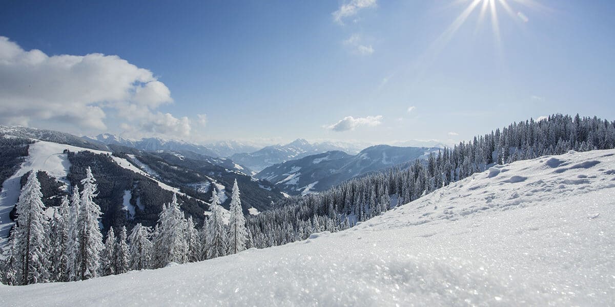 Pulverschneewochen - Hochkönig - Salzburger Land - Pauschalen - Salzburger Hof in Dienten