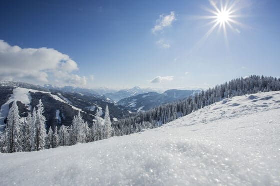 Pulverschneewochen - Hochkönig - Salzburger Land - Pauschalen - Salzburger Hof in Dienten