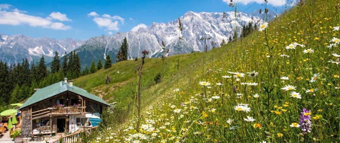 Region Mühlbach & Dienten am Hochkönig