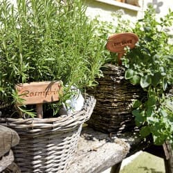 Hoteleigener Kräutergarten – 3 Sterne Hotel Salzburger Hof