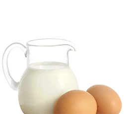 Kulinarik – Heimische Produkte