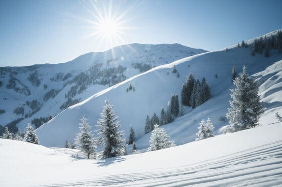 Skifahren - Hochkönig - Ski amadé