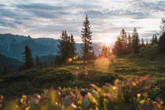 Sommerurlaub in Dienten - Region Hochkönig