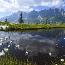 Sommerurlaub in Dienten – Region Hochkönig