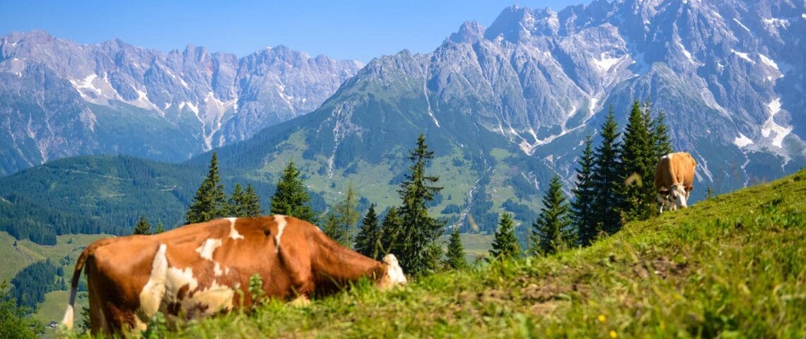 Sommerurlaub in Dienten - Region Hochkönig