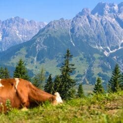 Sommerurlaub in Dienten – Region Hochkönig