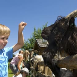 Sommerurlaub in der Region Hochkönig – Salzburger Land
