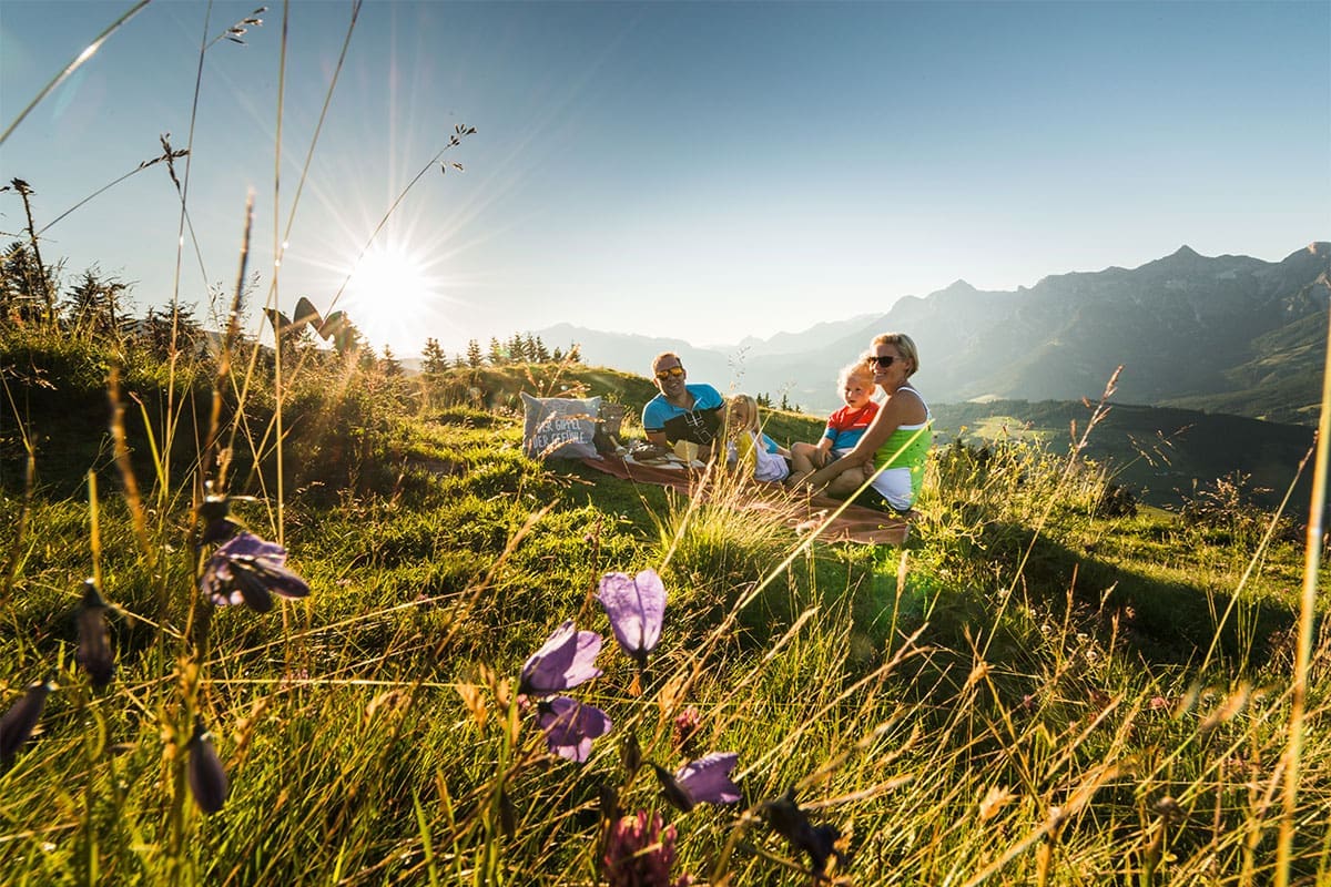Sommerurlaub in der Region Hochkönig - Salzburger Land