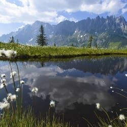 Sommerurlaub in der Region Hochkönig – Salzburger Land
