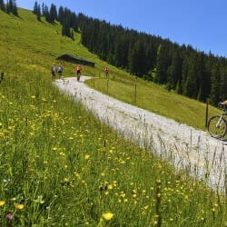 Sommerurlaub in der Region Hochkönig – Salzburger Land