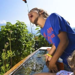 Sommerurlaub in der Region Hochkönig – Salzburger Land