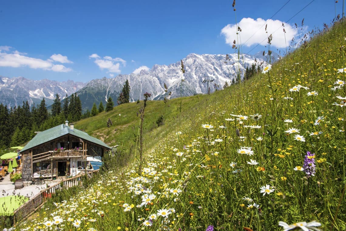 Sommerurlaub in der Region Hochkönig - Salzburger Land