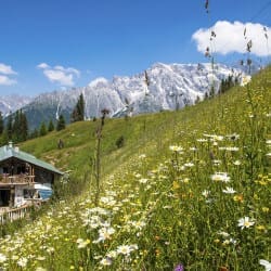 Sommerurlaub in der Region Hochkönig – Salzburger Land