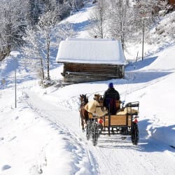 Pferdeschlittenfahrten – Winterurlaub am Hochkönig – Salzburger Land