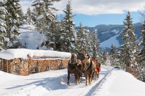 Pferdeschlittenfahrten - Winterurlaub am Hochkönig - Salzburger Land