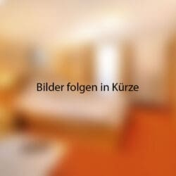 Zimmer in Dienten am Hochkönig, Rooftop-Doppelzimmer